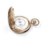 IWC Tribute to Pallweber Edition “150 Years” IW505101 - 2018 Collection - Image 2
