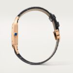 Santos-Dumont watch CRWGSA0021 - 图片 8