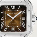 Santos de Cartier watch CRWSSA0064 - Image 10