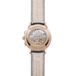 Master Control Chronograph Calendar Q413257J - 图片 2