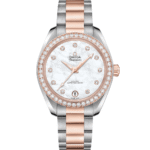 Seamaster Aqua Terra 150M 220.25.34.20.55.001