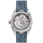 Seamaster Aqua Terra 150M Co‑Axial Master Chronometer Small Seconds 41 MM 220.22.41.21.03.001 - 图片 2