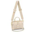 LV Petite Malle Souple Handbag