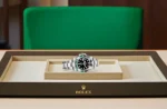 Rolex Perpetual GMT-Master II m126720vtnr Series - Image 3