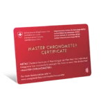 DIVER 300M CO?AXIAL MASTER CHRONOMETER 42 MM-210.32.42.20.04.001 - Image 4